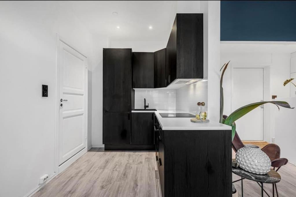Newly Renovated - Oslo Downtown Apartment Bagian luar foto